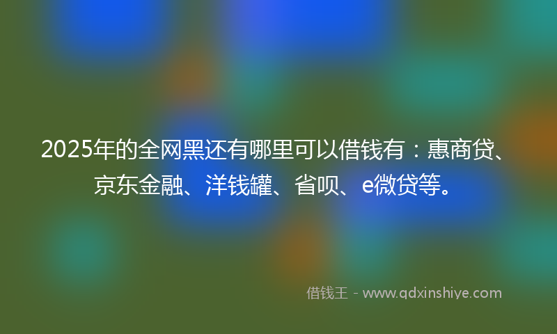 2025年的全网黑还有哪里可以借钱有：惠商贷、京东金融、洋钱罐、省呗、e微贷等。