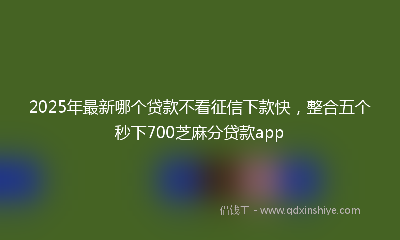 2025年最新哪个贷款不看征信下款快，整合五个秒下700芝麻分贷款app