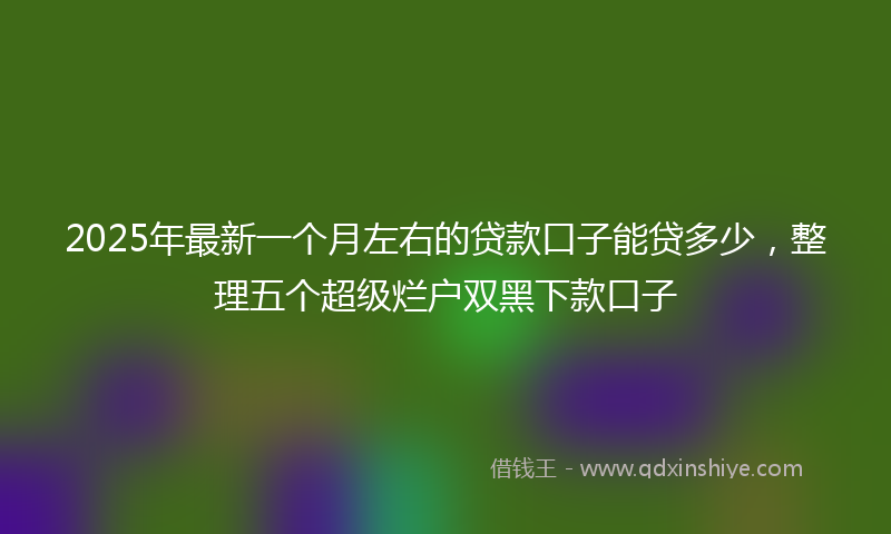 2025年最新一个月左右的贷款口子能贷多少，整理五个超级烂户双黑下款口子