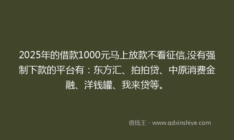 2025年的借款1000元马上放款不看征信,没有强制下款的平台有：东方汇、拍拍贷、中原消费金融、洋钱罐、我来贷等。