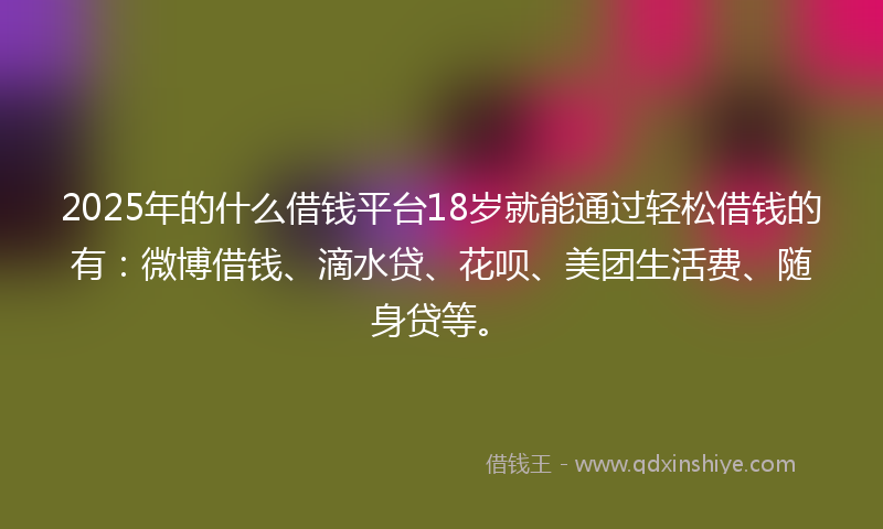 2025年的什么借钱平台18岁就能通过轻松借钱的有：微博借钱、滴水贷、花呗、美团生活费、随身贷等。