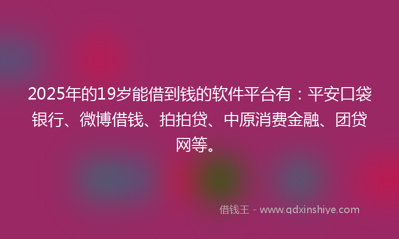 2025年的19岁能借到钱的软件平台有：平安口袋银行、微博借钱、拍拍贷、中原消费金融、团贷网等。