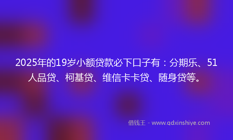 2025年的19岁小额贷款必下口子有：分期乐、51人品贷、柯基贷、维信卡卡贷、随身贷等。