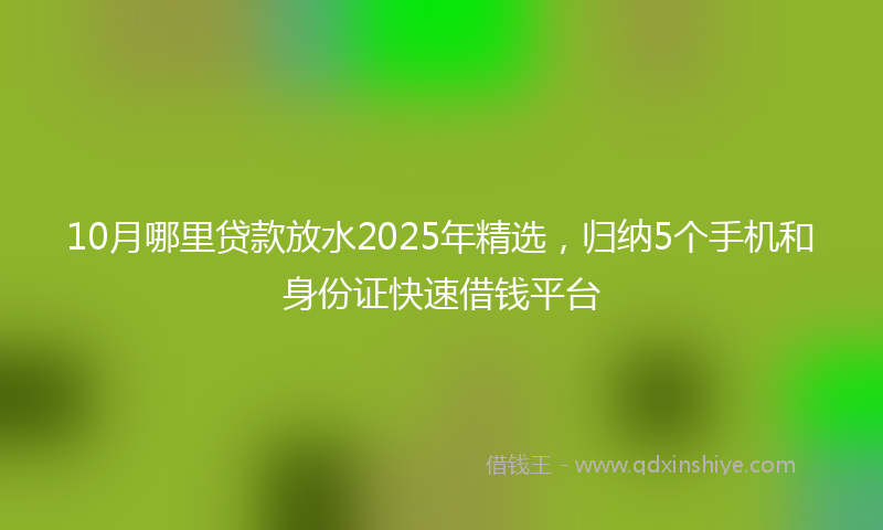 10月哪里贷款放水2025年精选，归纳5个手机和身份证快速借钱平台
