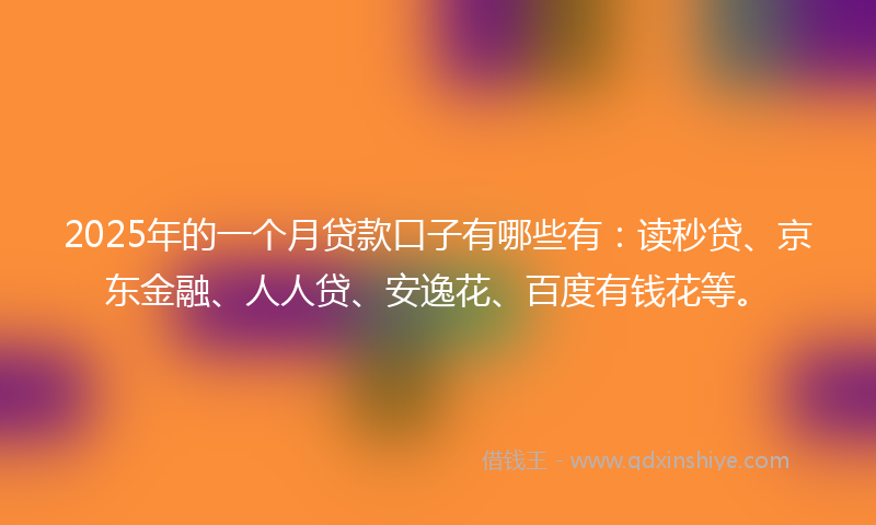 2025年的一个月贷款口子有哪些有：读秒贷、京东金融、人人贷、安逸花、百度有钱花等。