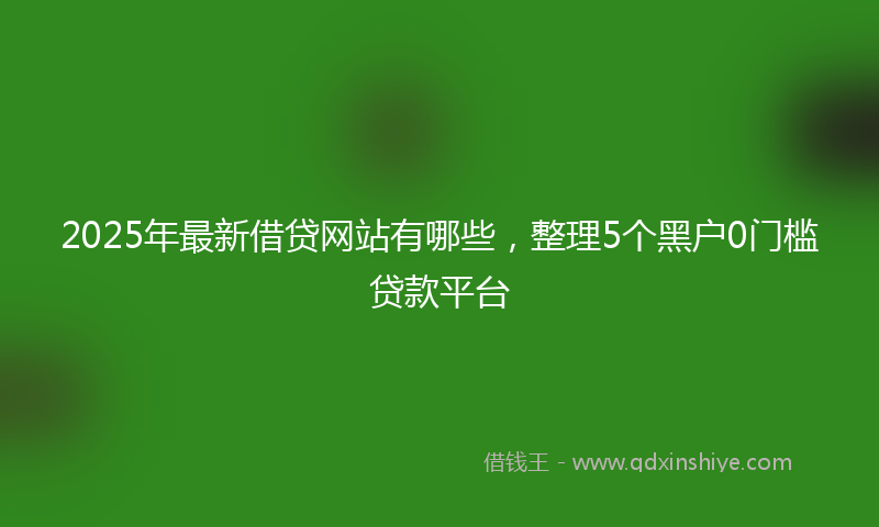 2025年最新借贷网站有哪些，整理5个黑户0门槛贷款平台