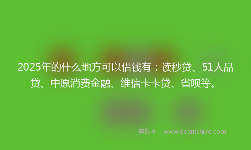 2025年的什么地方可以借钱有：读秒贷、51人品贷、中原消费金融、维信卡卡贷、省呗等。