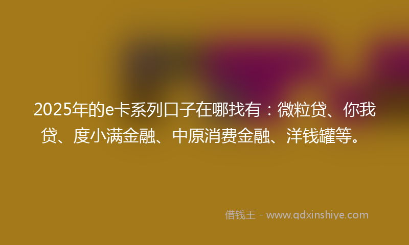 2025年的e卡系列口子在哪找有：微粒贷、你我贷、度小满金融、中原消费金融、洋钱罐等。