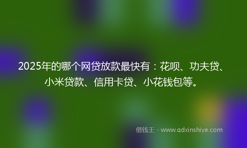 2025年的哪个网贷放款最快有：花呗、功夫贷、小米贷款、信用卡贷、小花钱包等。