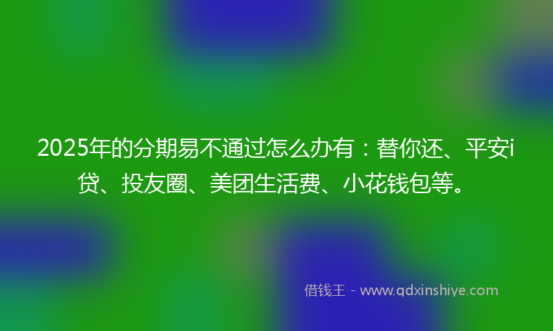2025年的分期易不通过怎么办有：替你还、平安i贷、投友圈、美团生活费、小花钱包等。