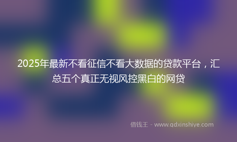 2025年最新不看征信不看大数据的贷款平台，汇总五个真正无视风控黑白的网贷