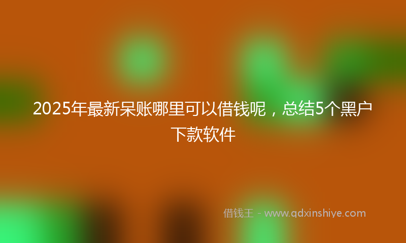 2025年最新呆账哪里可以借钱呢，总结5个黑户下款软件
