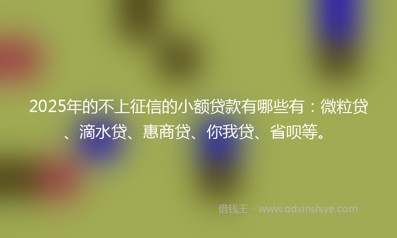2025年的不上征信的小额贷款有哪些有：微粒贷、滴水贷、惠商贷、你我贷、省呗等。