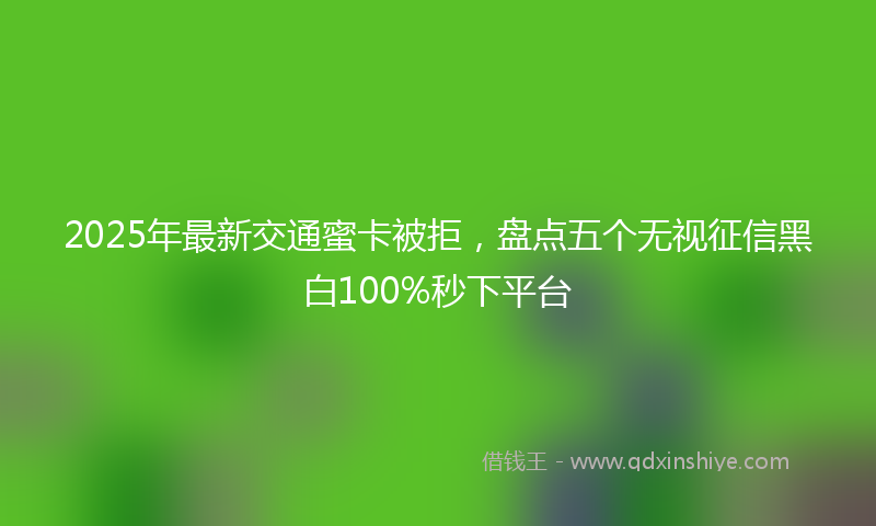 2025年最新交通蜜卡被拒，盘点五个无视征信黑白100%秒下平台