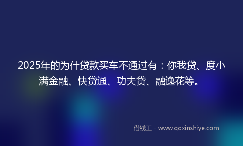 2025年的为什贷款买车不通过有：你我贷、度小满金融、快贷通、功夫贷、融逸花等。