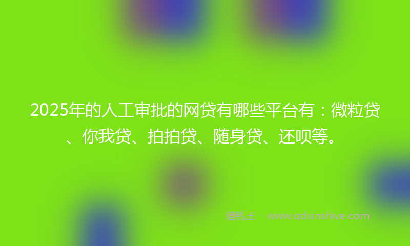 2025年的人工审批的网贷有哪些平台有：微粒贷、你我贷、拍拍贷、随身贷、还呗等。
