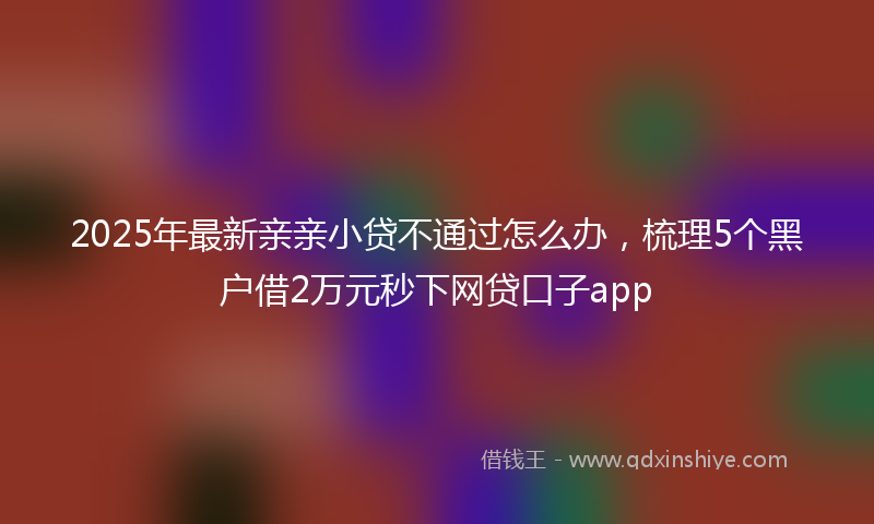 2025年最新亲亲小贷不通过怎么办，梳理5个黑户借2万元秒下网贷口子app