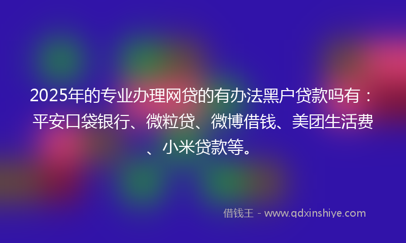 2025年的专业办理网贷的有办法黑户贷款吗有：平安口袋银行、微粒贷、微博借钱、美团生活费、小米贷款等。