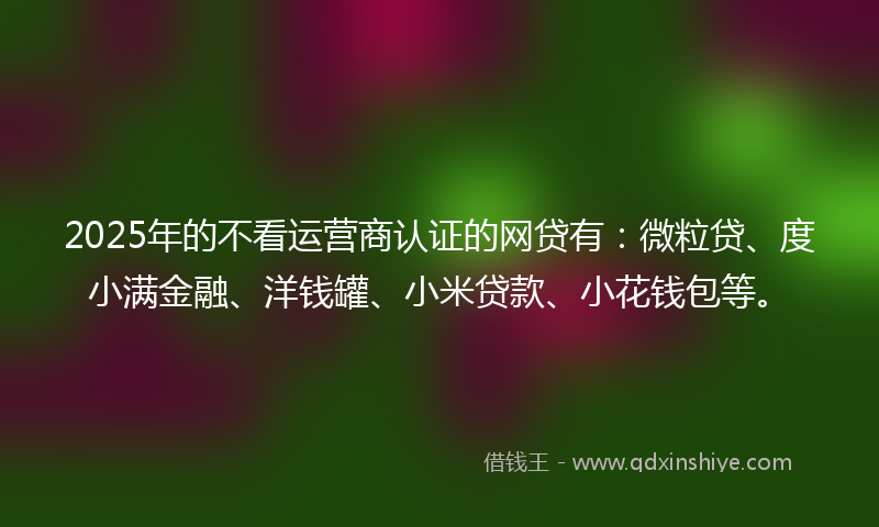 2025年的不看运营商认证的网贷有：微粒贷、度小满金融、洋钱罐、小米贷款、小花钱包等。