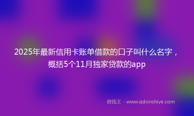 2025年最新信用卡账单借款的口子叫什么名字，概括5个11月独家贷款的app