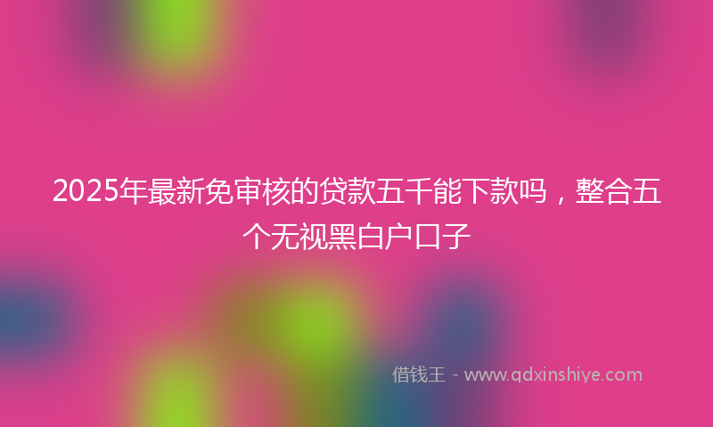2025年最新免审核的贷款五千能下款吗，整合五个无视黑白户口子