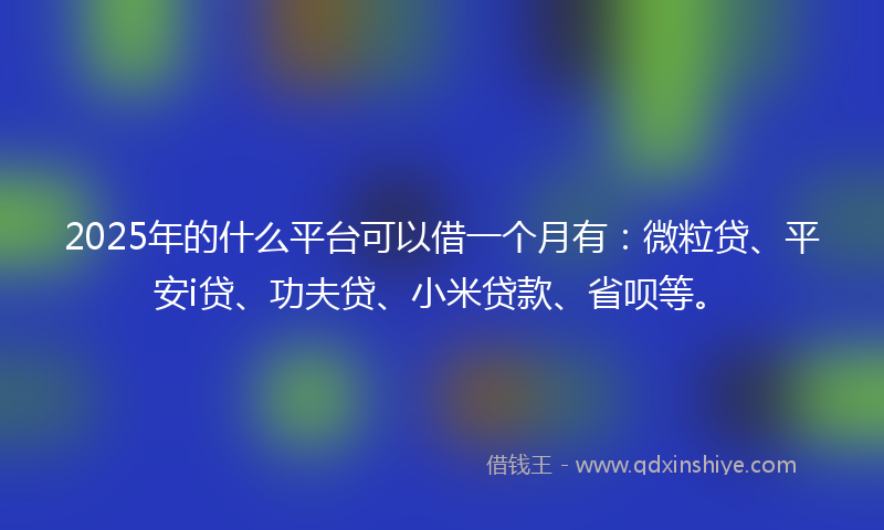 2025年的什么平台可以借一个月有：微粒贷、平安i贷、功夫贷、小米贷款、省呗等。