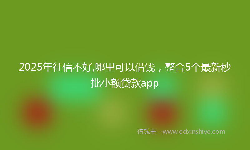 2025年征信不好,哪里可以借钱，整合5个最新秒批小额贷款app