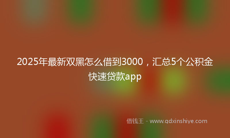 2025年最新双黑怎么借到3000，汇总5个公积金快速贷款app