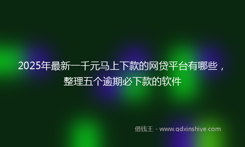 2025年最新一千元马上下款的网贷平台有哪些，整理五个逾期必下款的软件