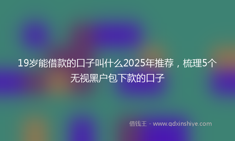 19岁能借款的口子叫什么2025年推荐，梳理5个无视黑户包下款的口子