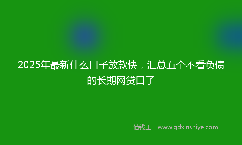 2025年最新什么口子放款快，汇总五个不看负债的长期网贷口子