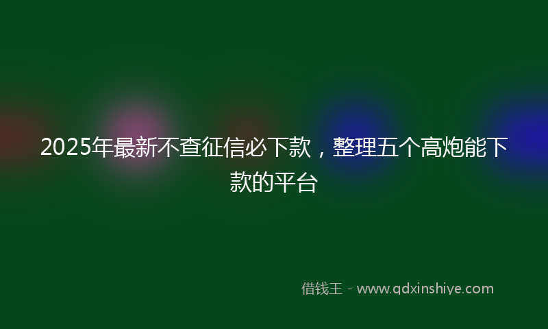 2025年最新不查征信必下款，整理五个高炮能下款的平台
