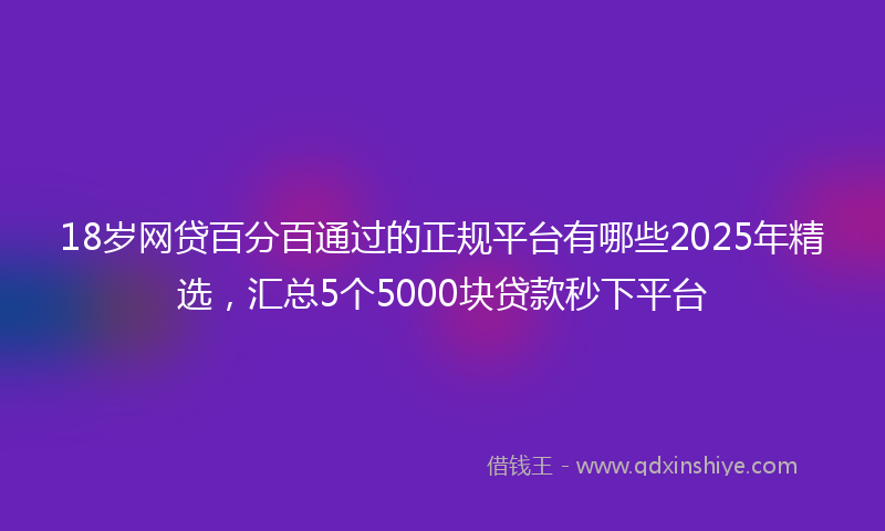 18岁网贷百分百通过的正规平台有哪些2025年精选，汇总5个5000块贷款秒下平台