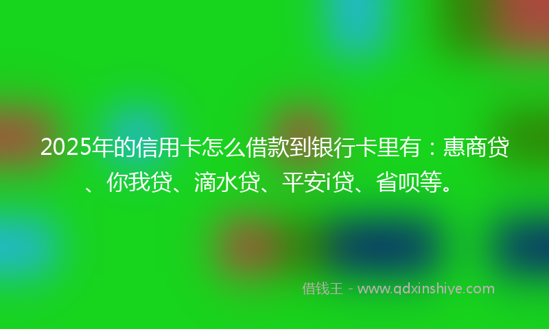 2025年的信用卡怎么借款到银行卡里有：惠商贷、你我贷、滴水贷、平安i贷、省呗等。