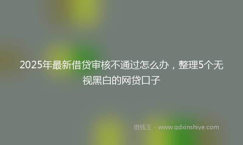 2025年最新借贷审核不通过怎么办，整理5个无视黑白的网贷口子