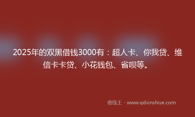2025年的双黑借钱3000有：超人卡、你我贷、维信卡卡贷、小花钱包、省呗等。