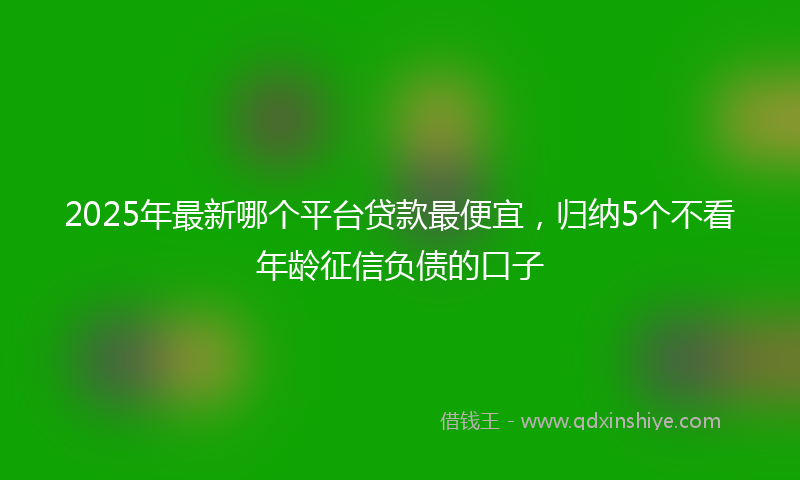 2025年最新哪个平台贷款最便宜，归纳5个不看年龄征信负债的口子