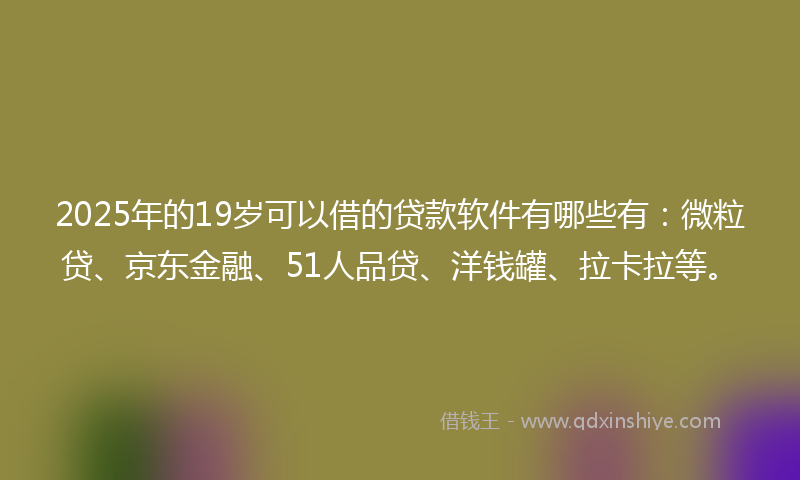 2025年的19岁可以借的贷款软件有哪些有：微粒贷、京东金融、51人品贷、洋钱罐、拉卡拉等。