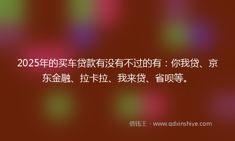 2025年的买车贷款有没有不过的有：你我贷、京东金融、拉卡拉、我来贷、省呗等。