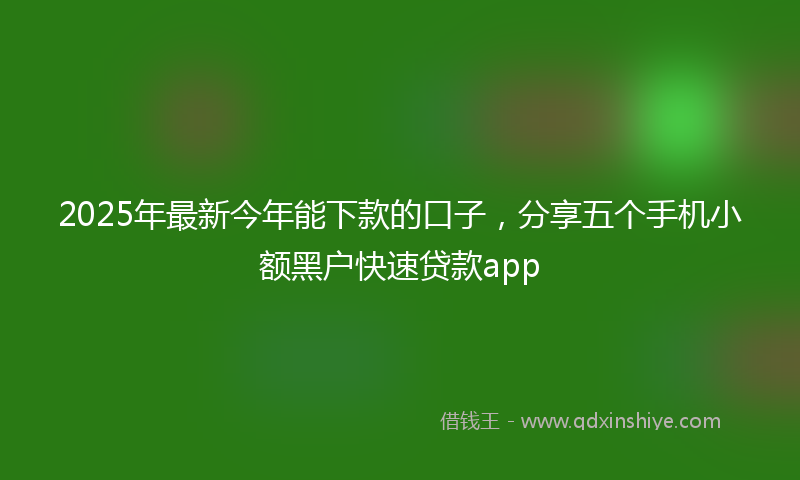 2025年最新今年能下款的口子，分享五个手机小额黑户快速贷款app