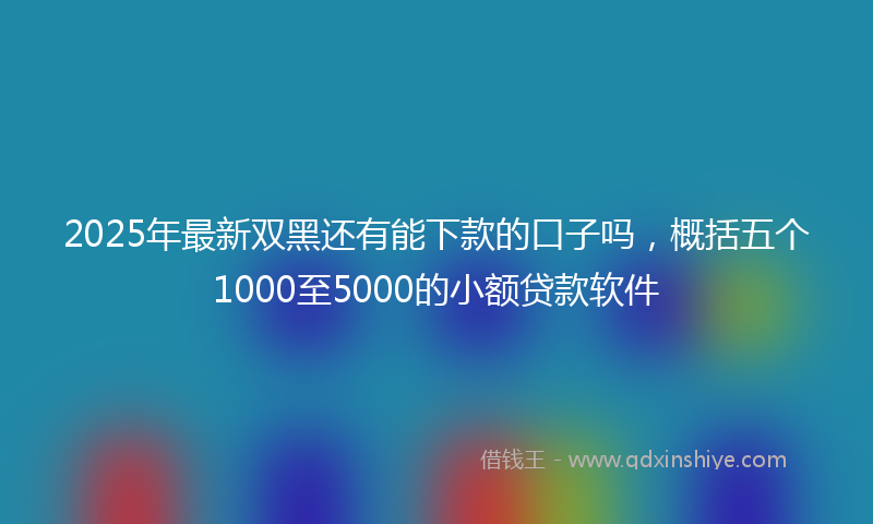 2025年最新双黑还有能下款的口子吗，概括五个1000至5000的小额贷款软件