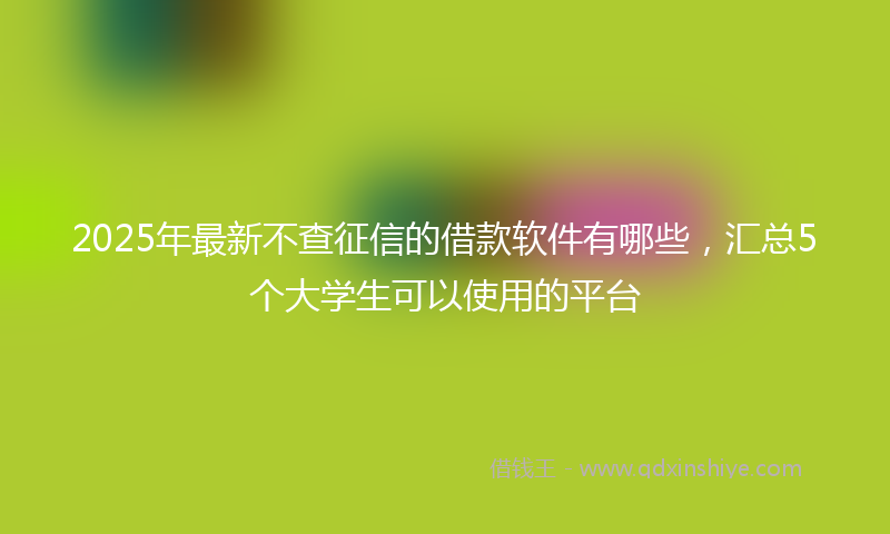 2025年最新不查征信的借款软件有哪些，汇总5个大学生可以使用的平台