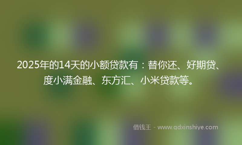 2025年的14天的小额贷款有：替你还、好期贷、度小满金融、东方汇、小米贷款等。