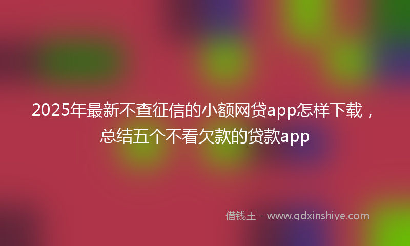 2025年最新不查征信的小额网贷app怎样下载，总结五个不看欠款的贷款app