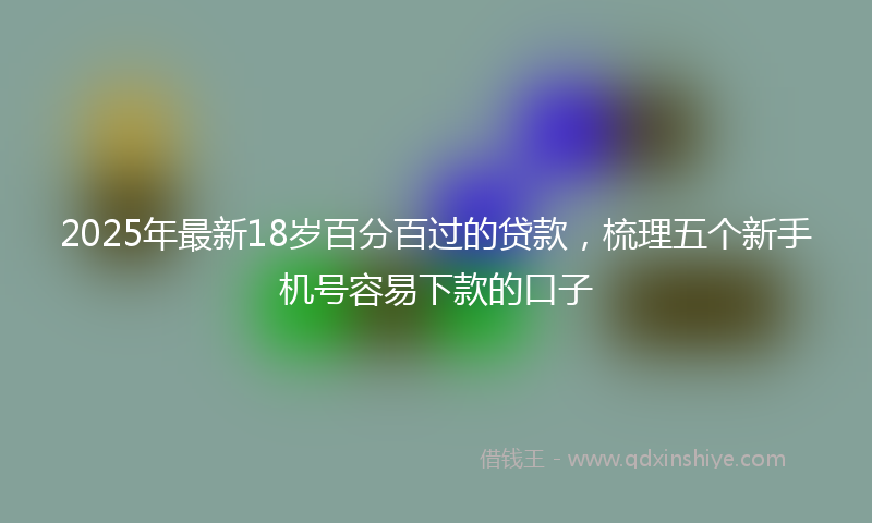 2025年最新18岁百分百过的贷款，梳理五个新手机号容易下款的口子
