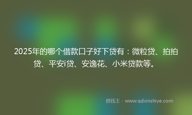 2025年的哪个借款口子好下贷有：微粒贷、拍拍贷、平安i贷、安逸花、小米贷款等。