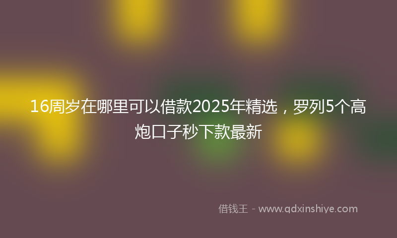 16周岁在哪里可以借款2025年精选，罗列5个高炮口子秒下款最新