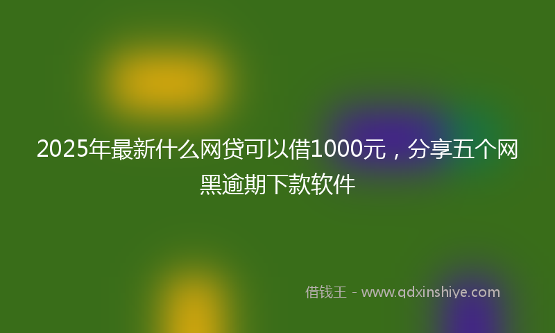 2025年最新什么网贷可以借1000元，分享五个网黑逾期下款软件