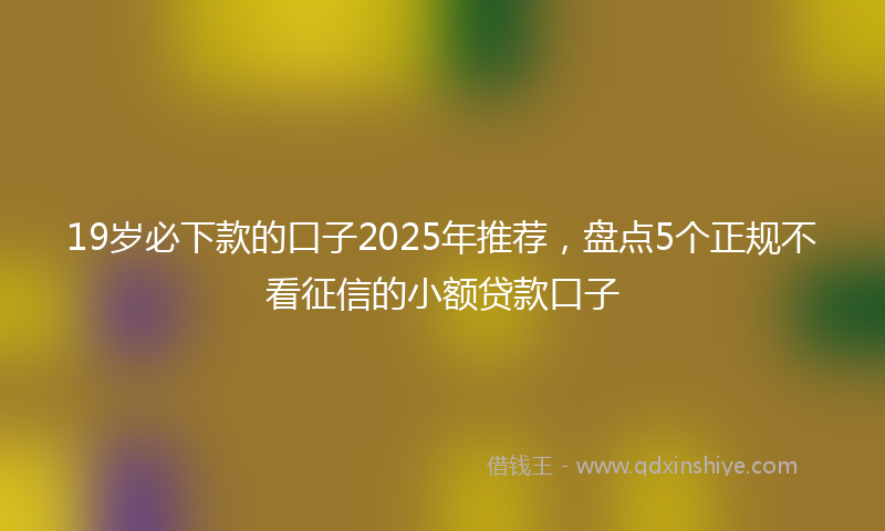 19岁必下款的口子2025年推荐，盘点5个正规不看征信的小额贷款口子