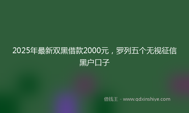 2025年最新双黑借款2000元，罗列五个无视征信黑户口子